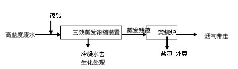 濰坊先達(dá)化工有限公司年產(chǎn)2000t滅草松、50t吡草醚及制劑車(chē)間項(xiàng)目環(huán)境影響評(píng)價(jià)第二次公示