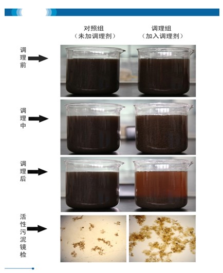 我院重點(diǎn)實(shí)驗(yàn)室研發(fā)出活性污泥調(diào)理劑